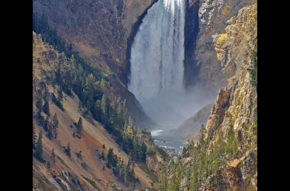 Yellowstone falls - Lower falls (Yellowstone NP, Wyoming, USA)